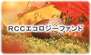 RCC�G�R���W�[�t�@���h
