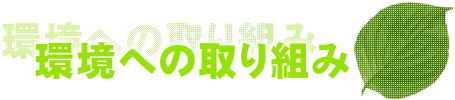 ���ւ̎��g��